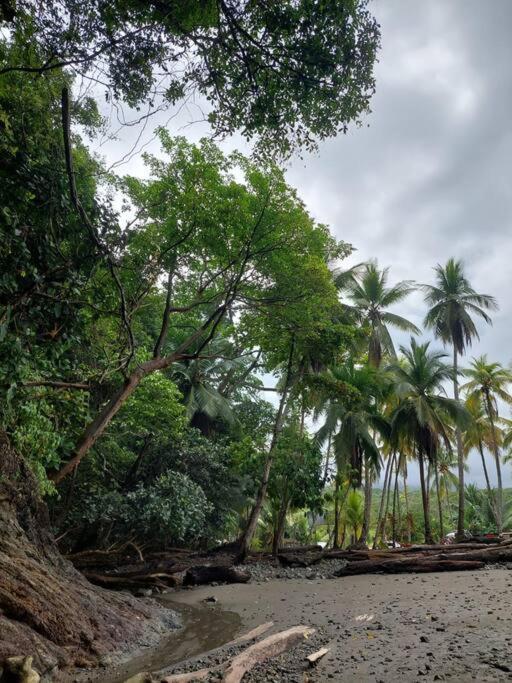 Casa Bahia Ale, Bahia Ballena Uvita Exteriér fotografie